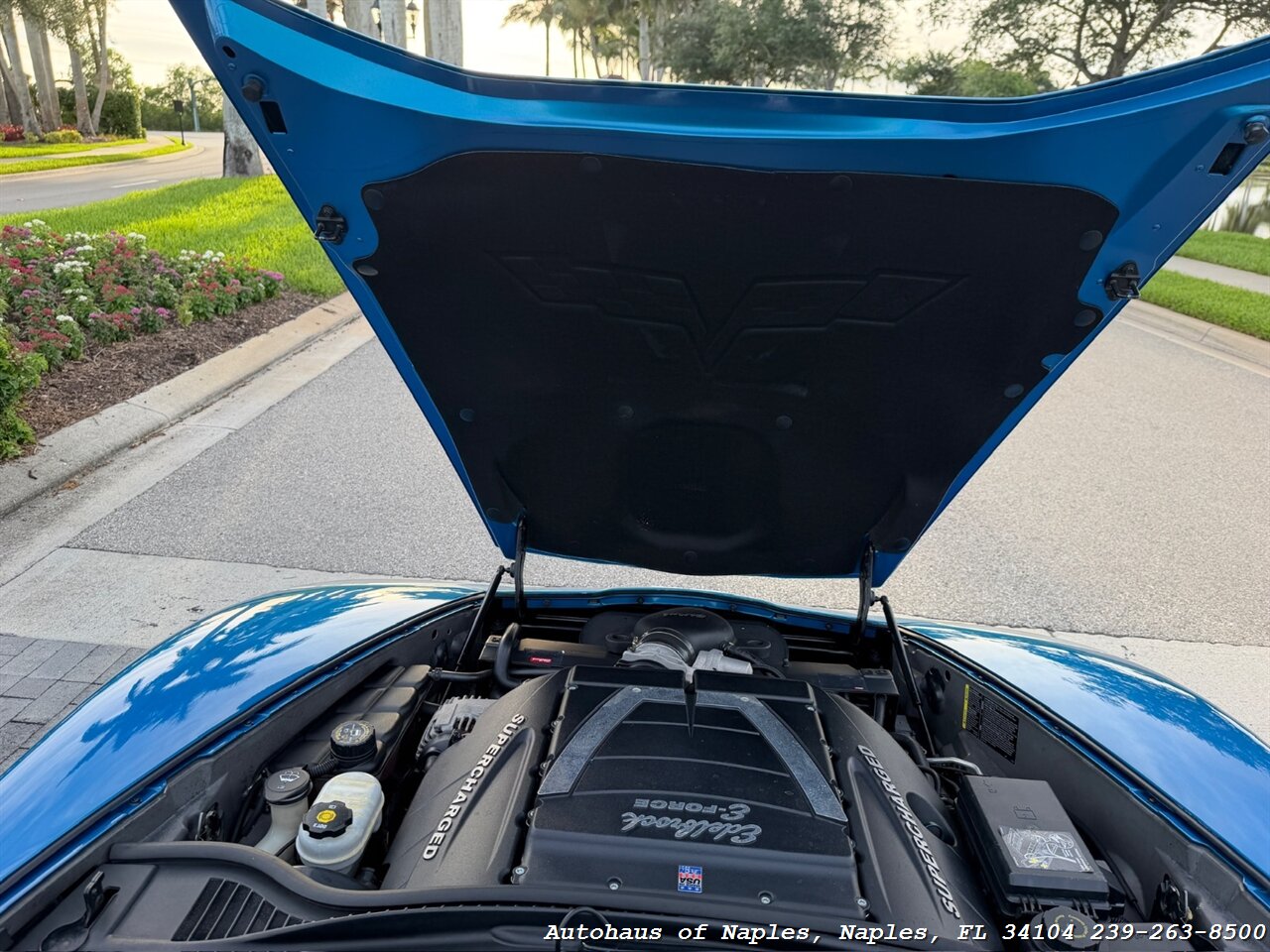 2008 Chevrolet Corvette   - Photo 17 - Naples, FL 34104