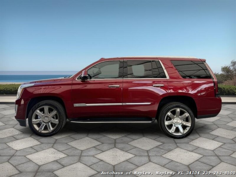 2019 Cadillac Escalade Luxury   - Photo 5 - Naples, FL 34104