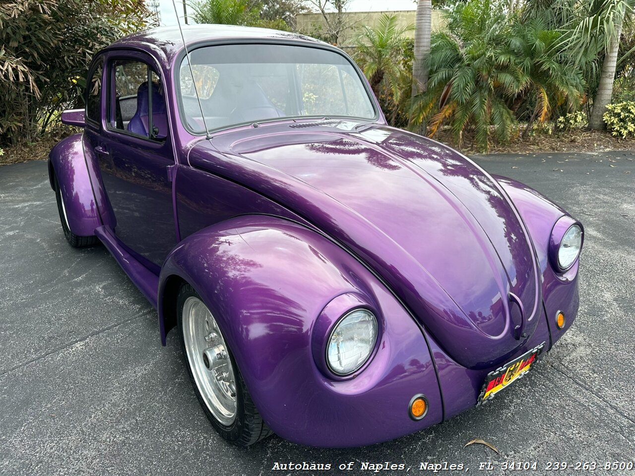 1973 Volkswagen Beetle   - Photo 1 - Naples, FL 34104