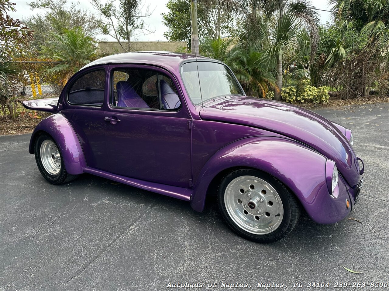 1973 Volkswagen Beetle   - Photo 2 - Naples, FL 34104