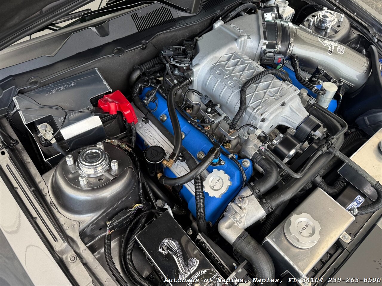2014 Ford Mustang Shelby GT500   - Photo 18 - Naples, FL 34104