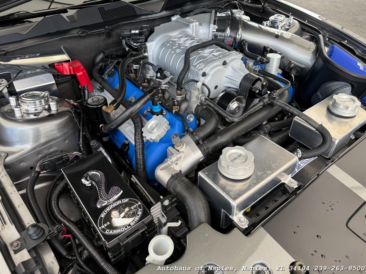2014 Ford Mustang Shelby GT500   - Photo 17 - Naples, FL 34104