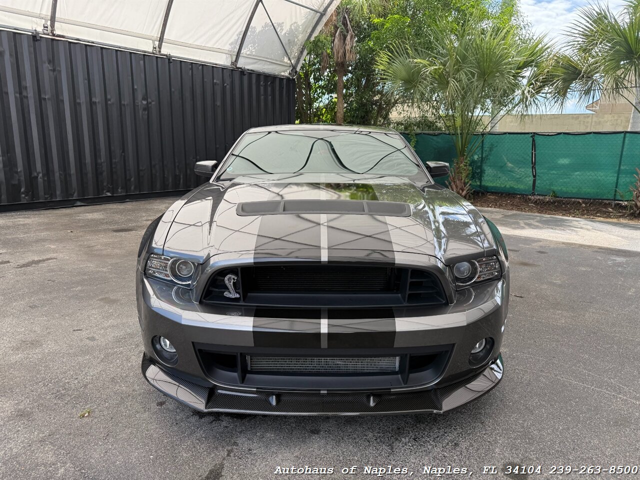 2014 Ford Mustang Shelby GT500   - Photo 3 - Naples, FL 34104