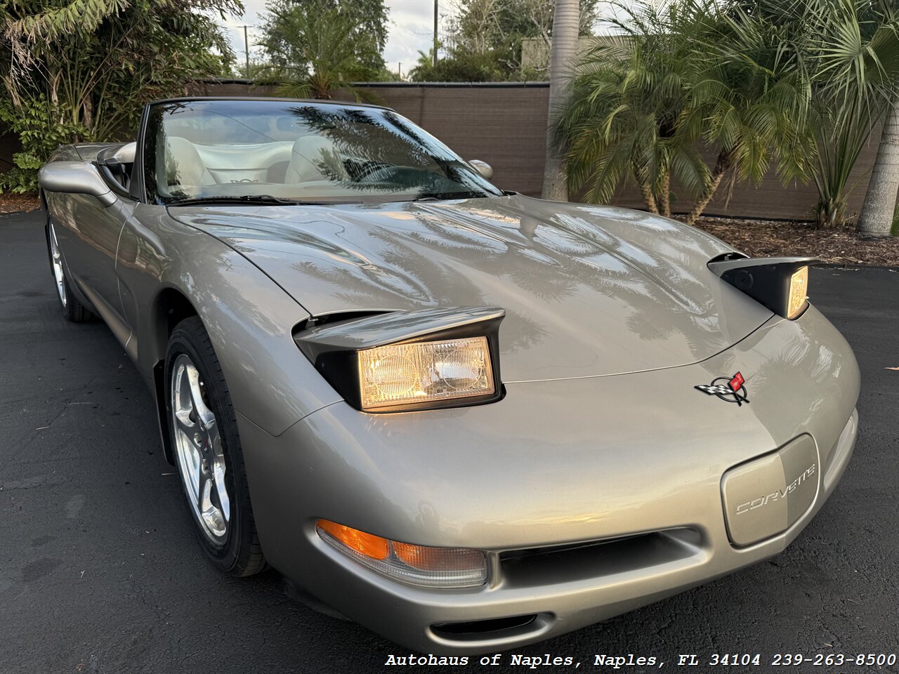 2000 Chevrolet Corvette   - Photo 5 - Naples, FL 34104