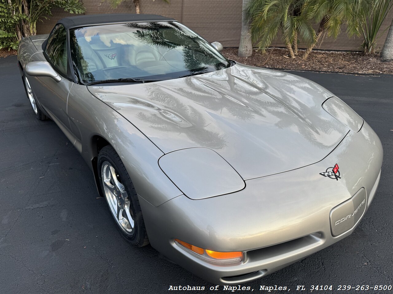 2000 Chevrolet Corvette   - Photo 3 - Naples, FL 34104