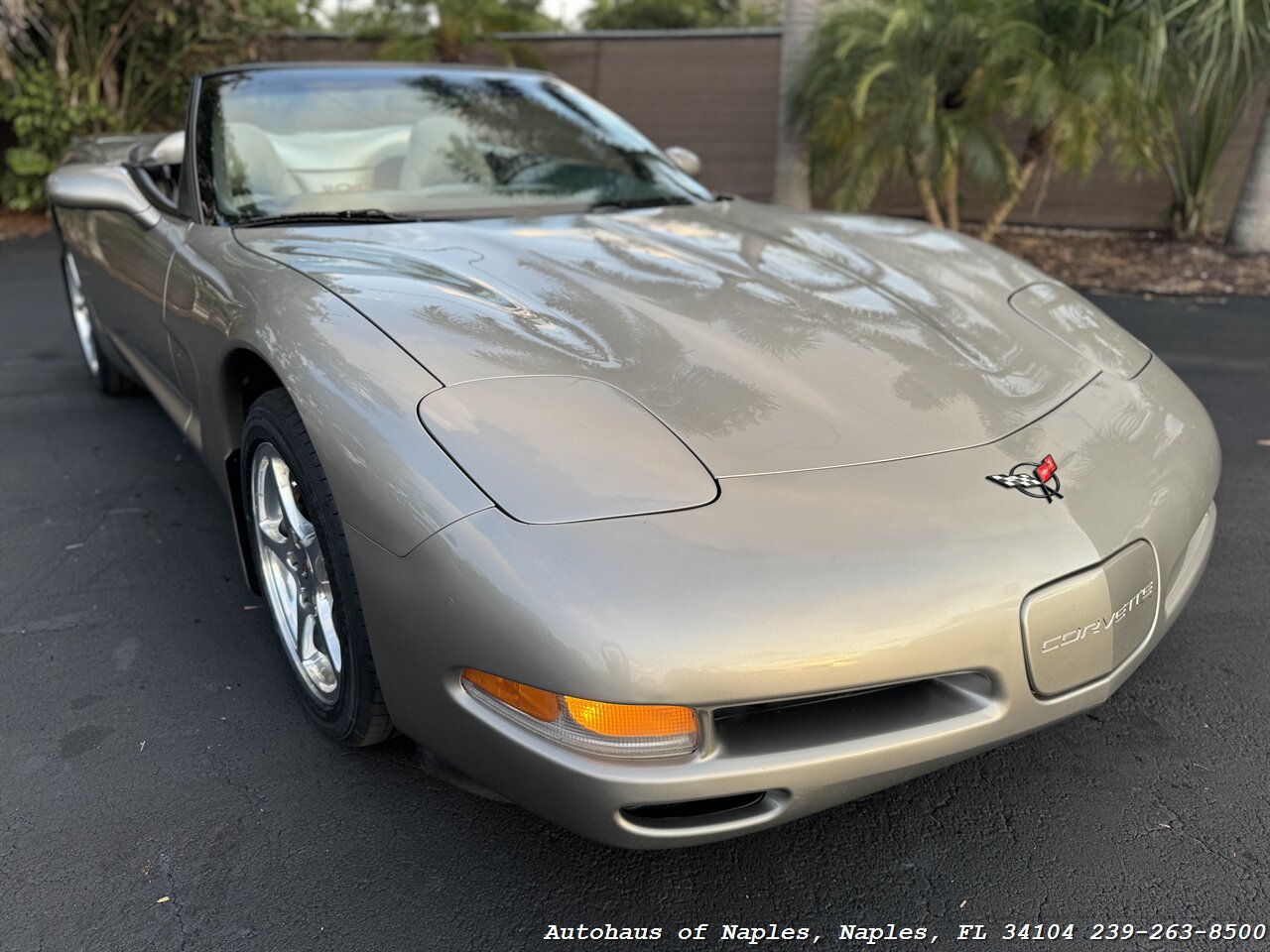 2000 Chevrolet Corvette   - Photo 2 - Naples, FL 34104