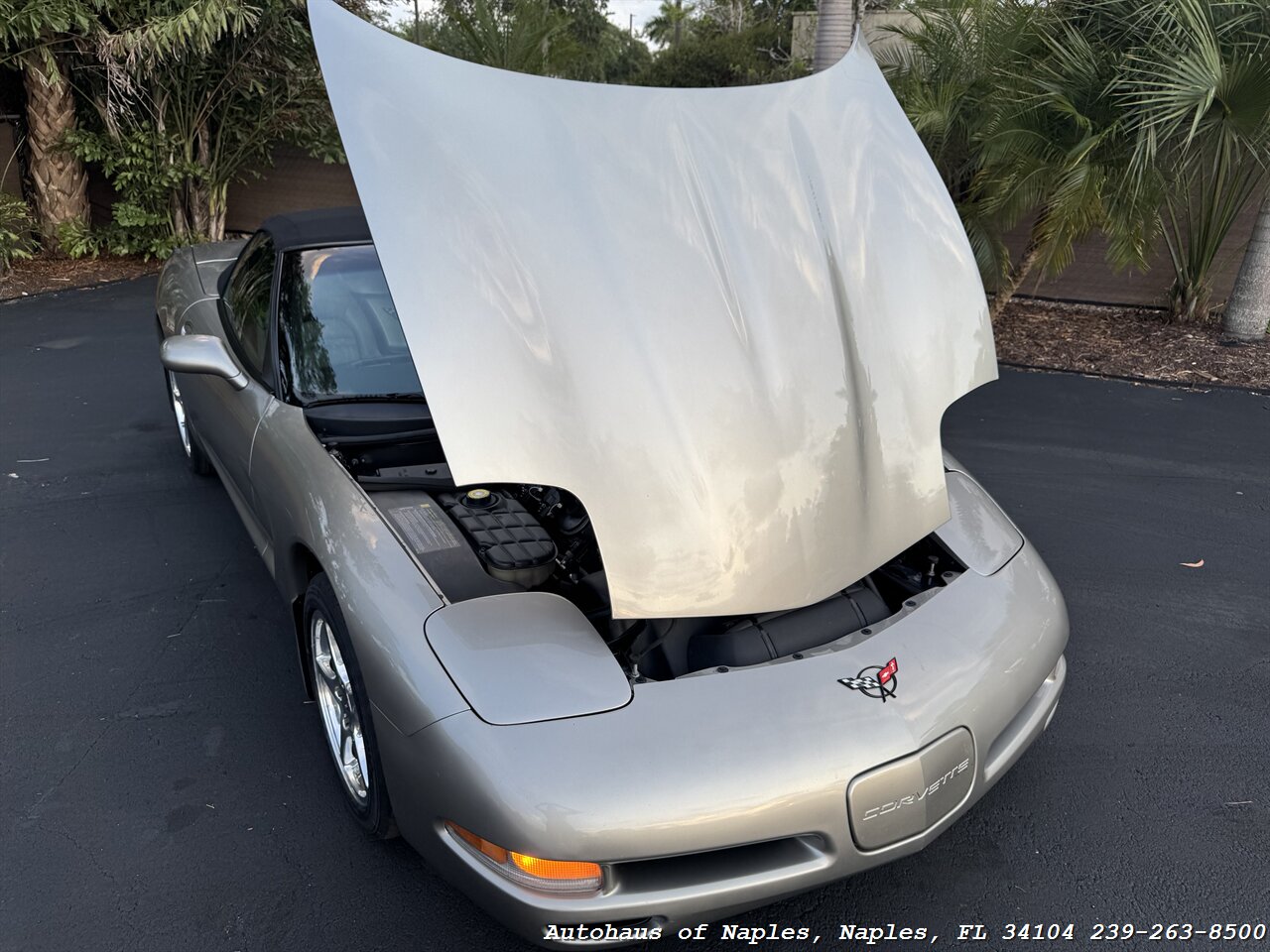 2000 Chevrolet Corvette   - Photo 56 - Naples, FL 34104