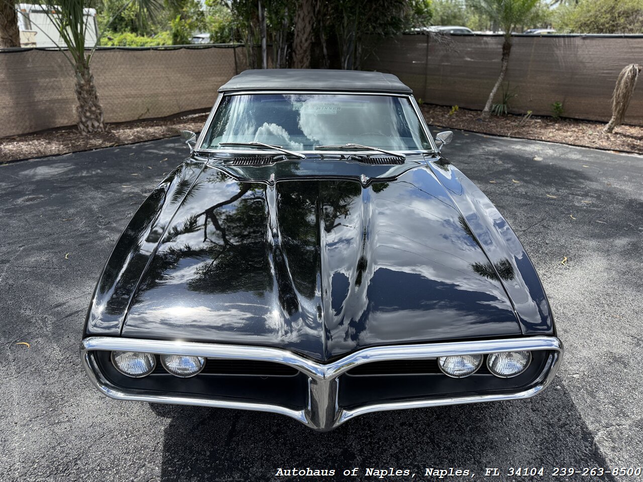 1968 Pontiac Firebird - Photo 6 - Naples, FL 34104