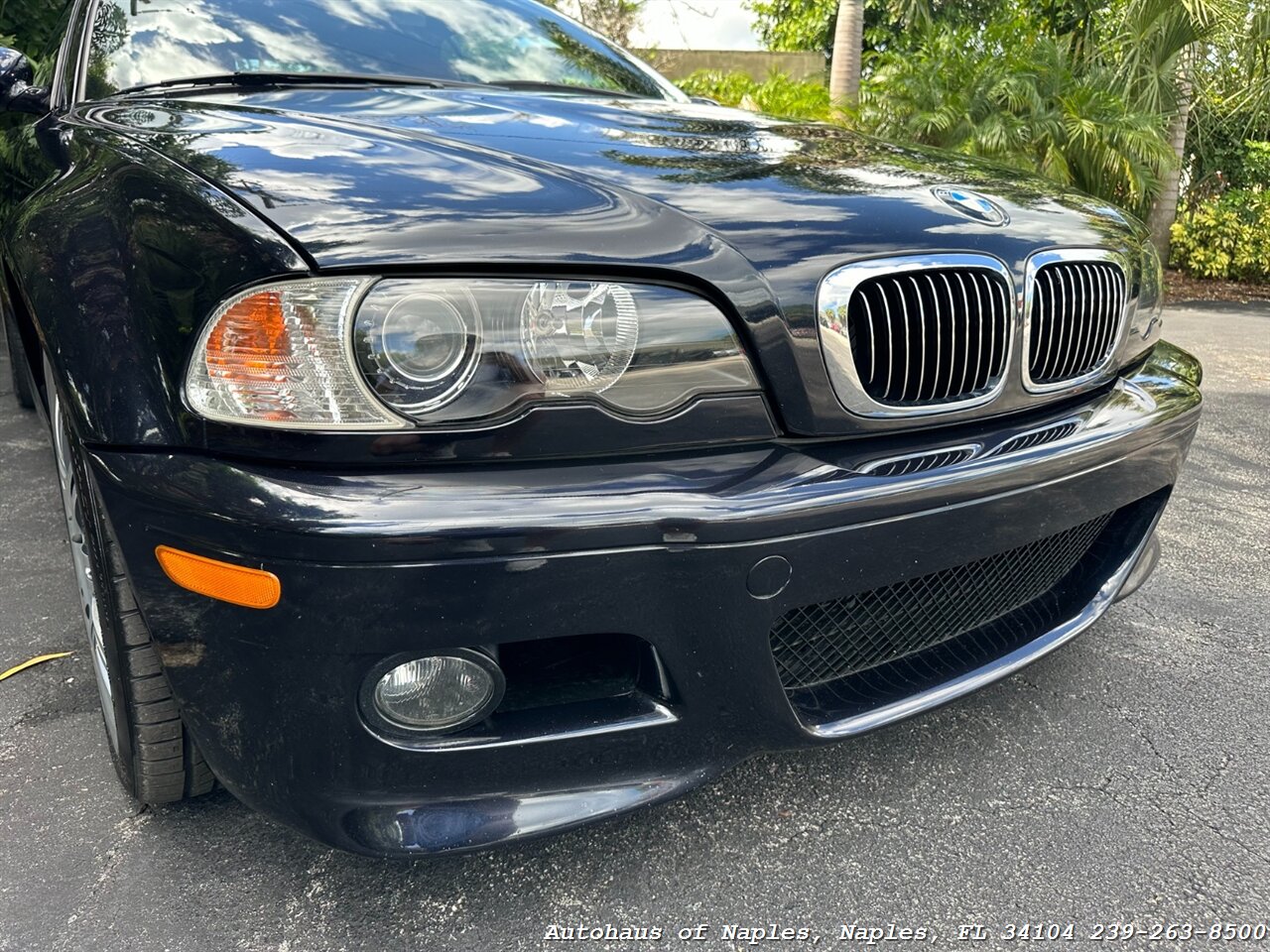 2004 BMW M3   - Photo 6 - Naples, FL 34104