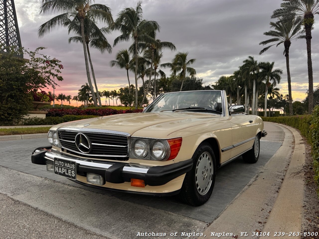 1988 Mercedes-Benz 560 SL - Photo 2 - Naples, FL 34104