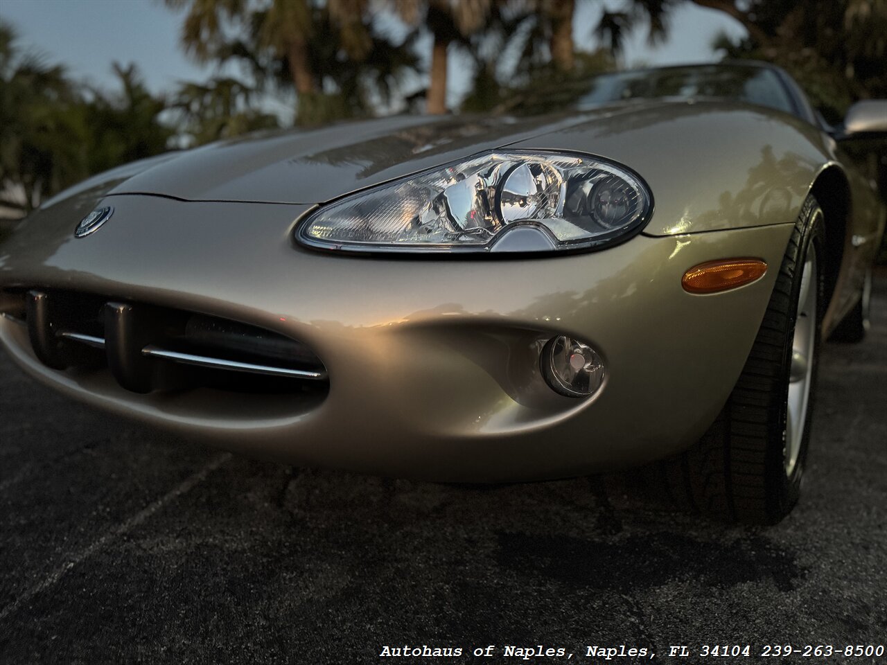 1998 Jaguar XK8 XK8   - Photo 25 - Naples, FL 34104