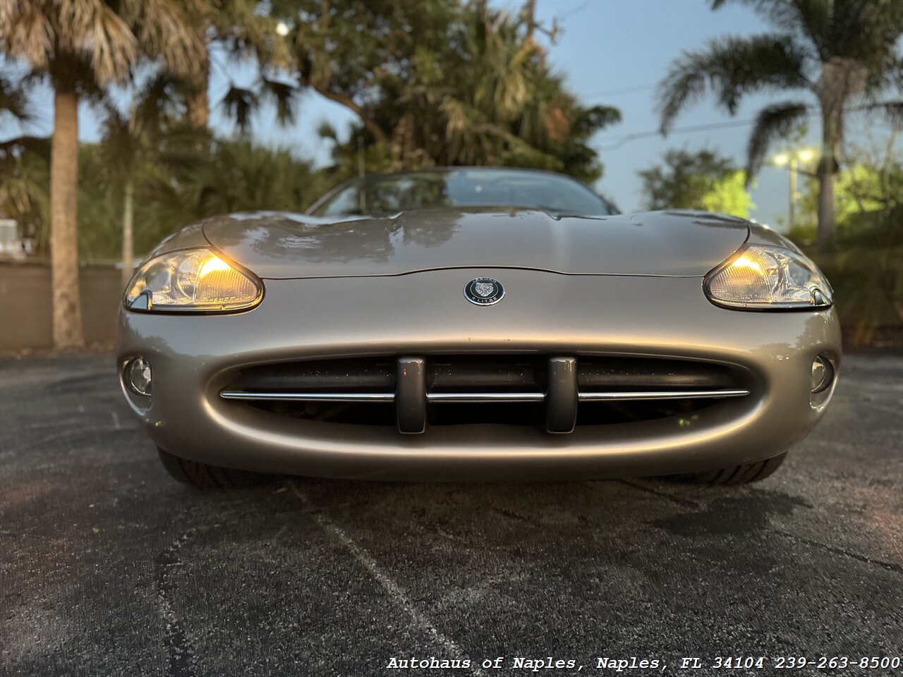 1998 Jaguar XK8 XK8   - Photo 3 - Naples, FL 34104
