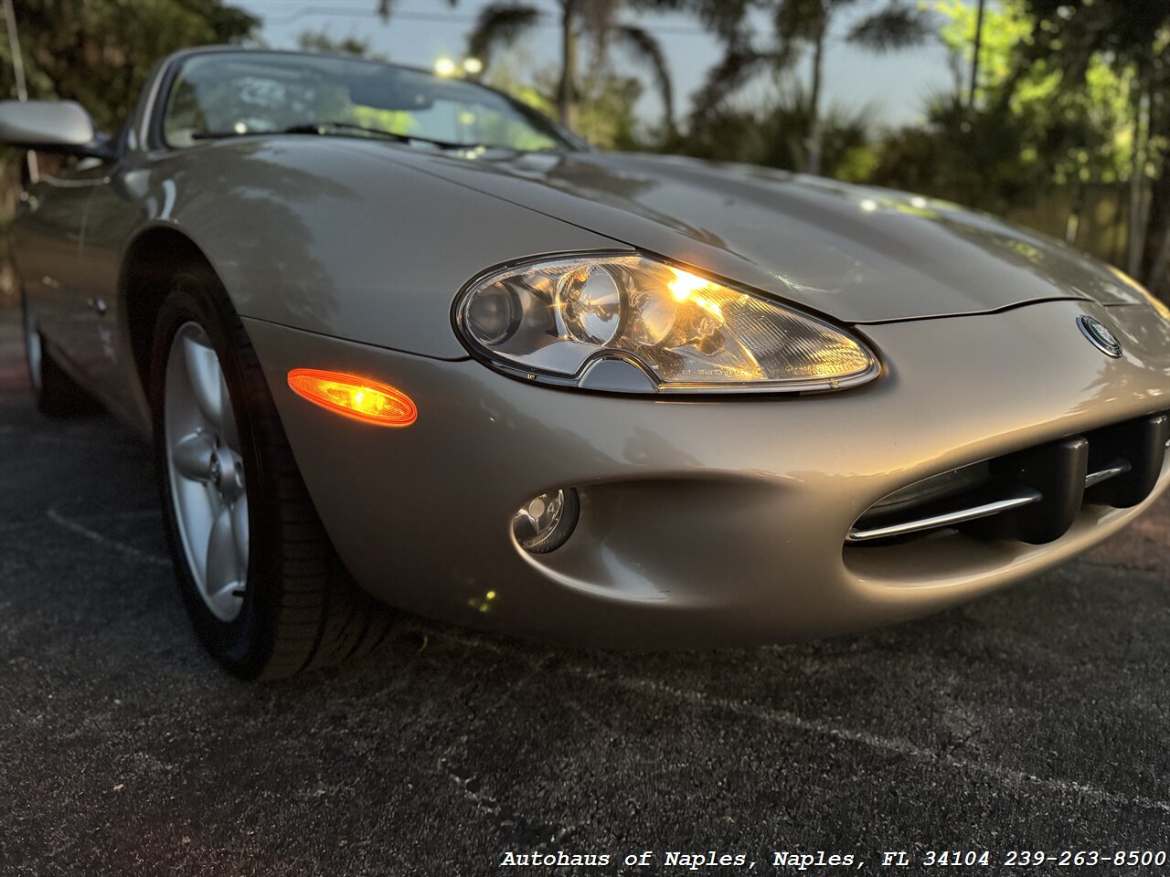 1998 Jaguar XK8 XK8   - Photo 5 - Naples, FL 34104