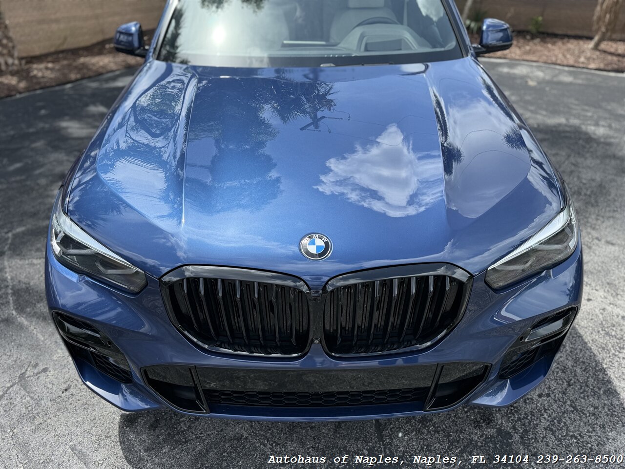 2022 BMW X5 sDrive40i - Photo 6 - Naples, FL 34104