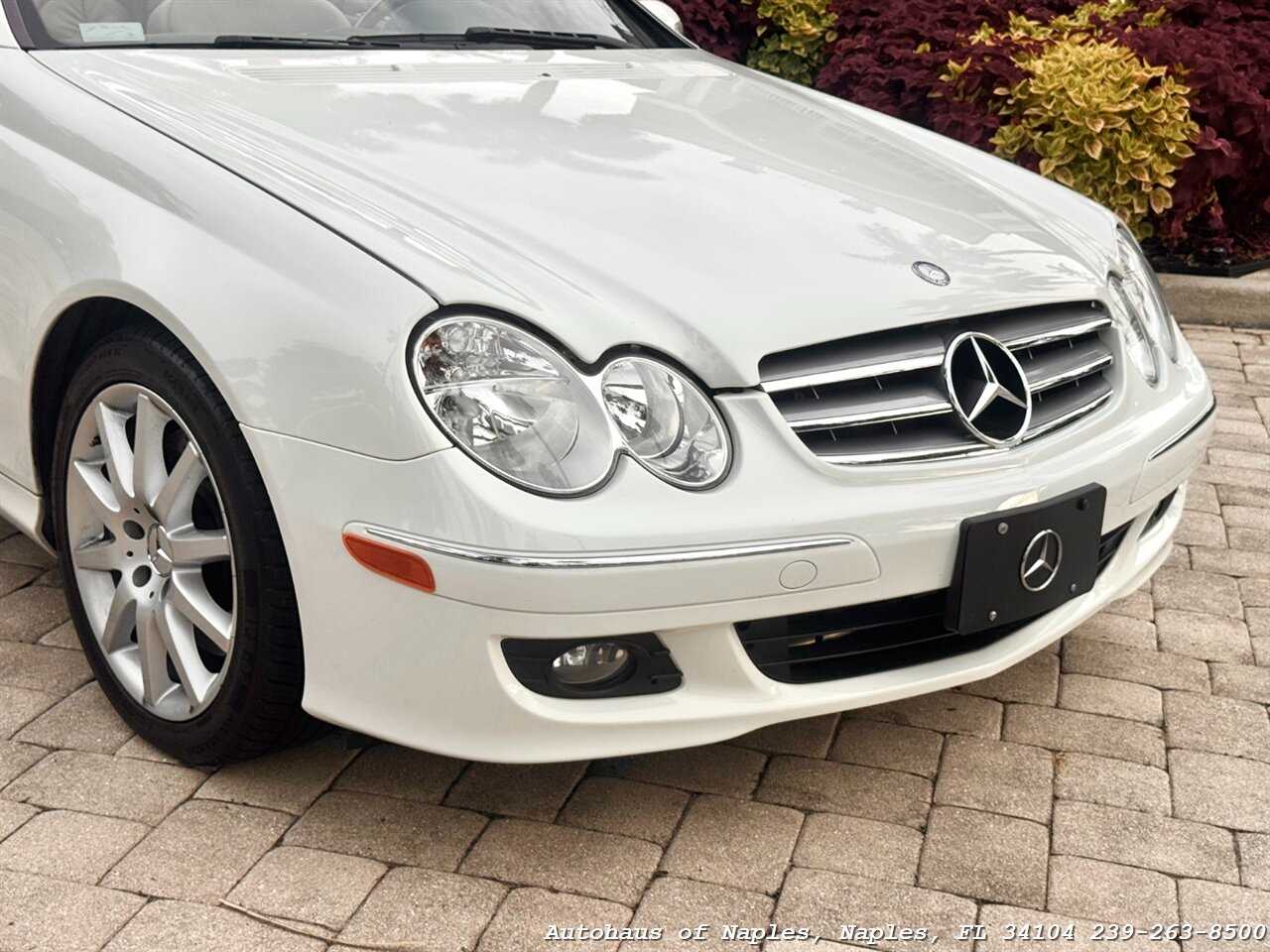 2007 Mercedes-Benz CLK CLK 350 - Photo 5 - Naples, FL 34104
