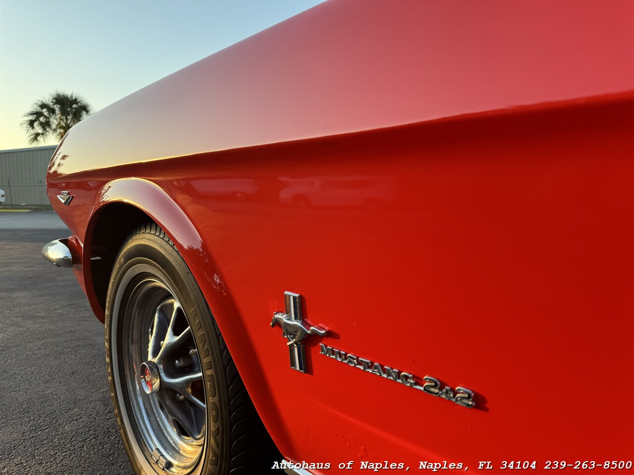 1965 Ford Mustang 2+2 Fastback 289 - Photo 9 - Naples, FL 34104