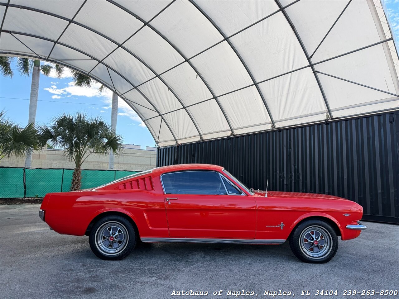 1965 Ford Mustang 2+2 Fastback 289   - Photo 17 - Naples, FL 34104