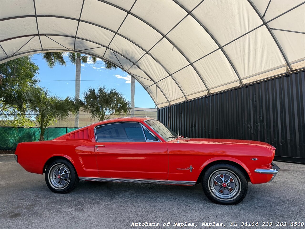 1965 Ford Mustang 2+2 Fastback 289   - Photo 2 - Naples, FL 34104