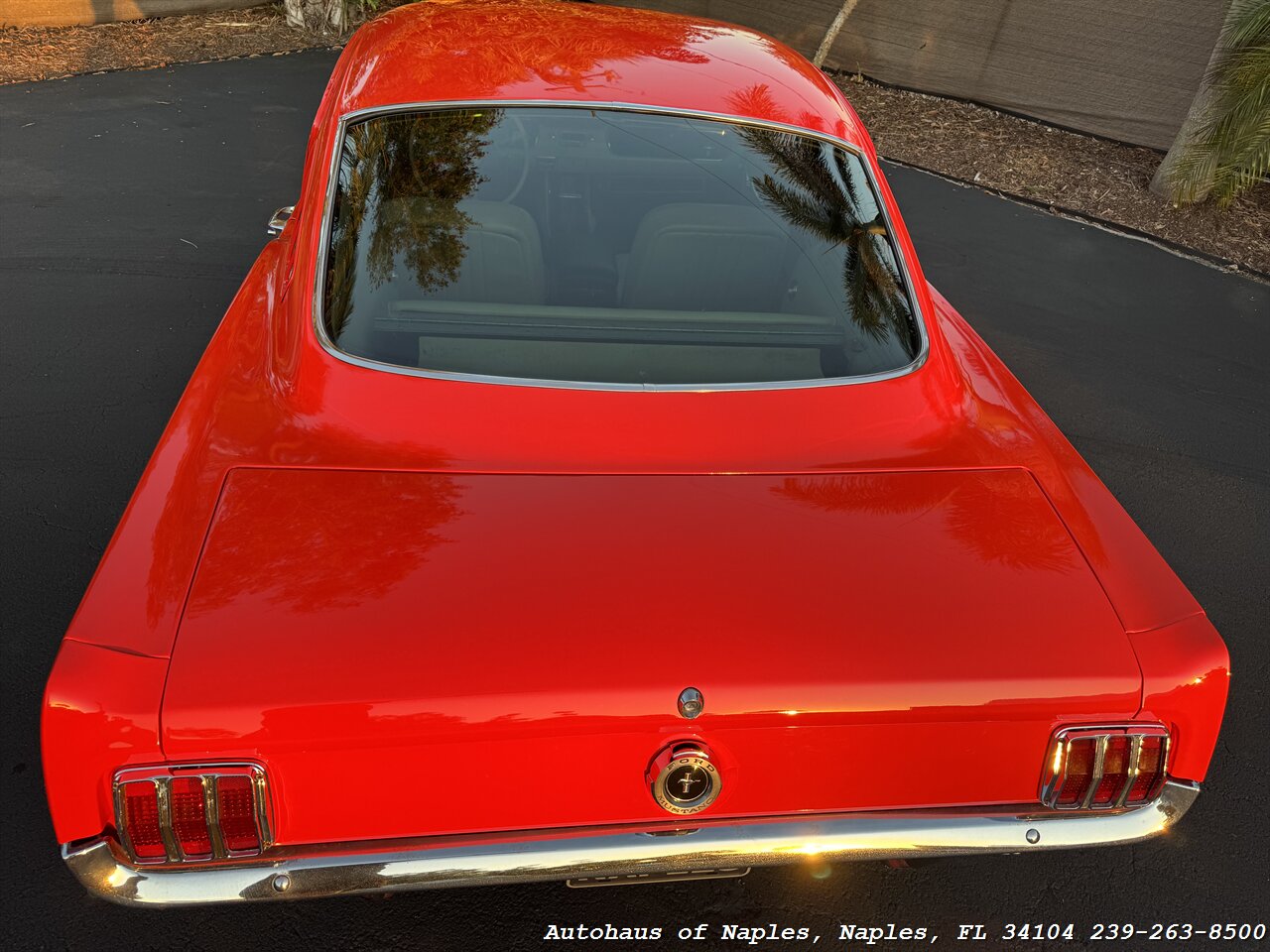 1965 Ford Mustang 2+2 Fastback 289 - Photo 20 - Naples, FL 34104