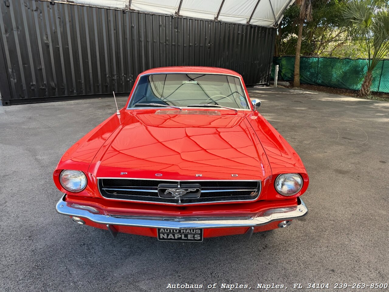 1965 Ford Mustang 2+2 Fastback 289   - Photo 6 - Naples, FL 34104