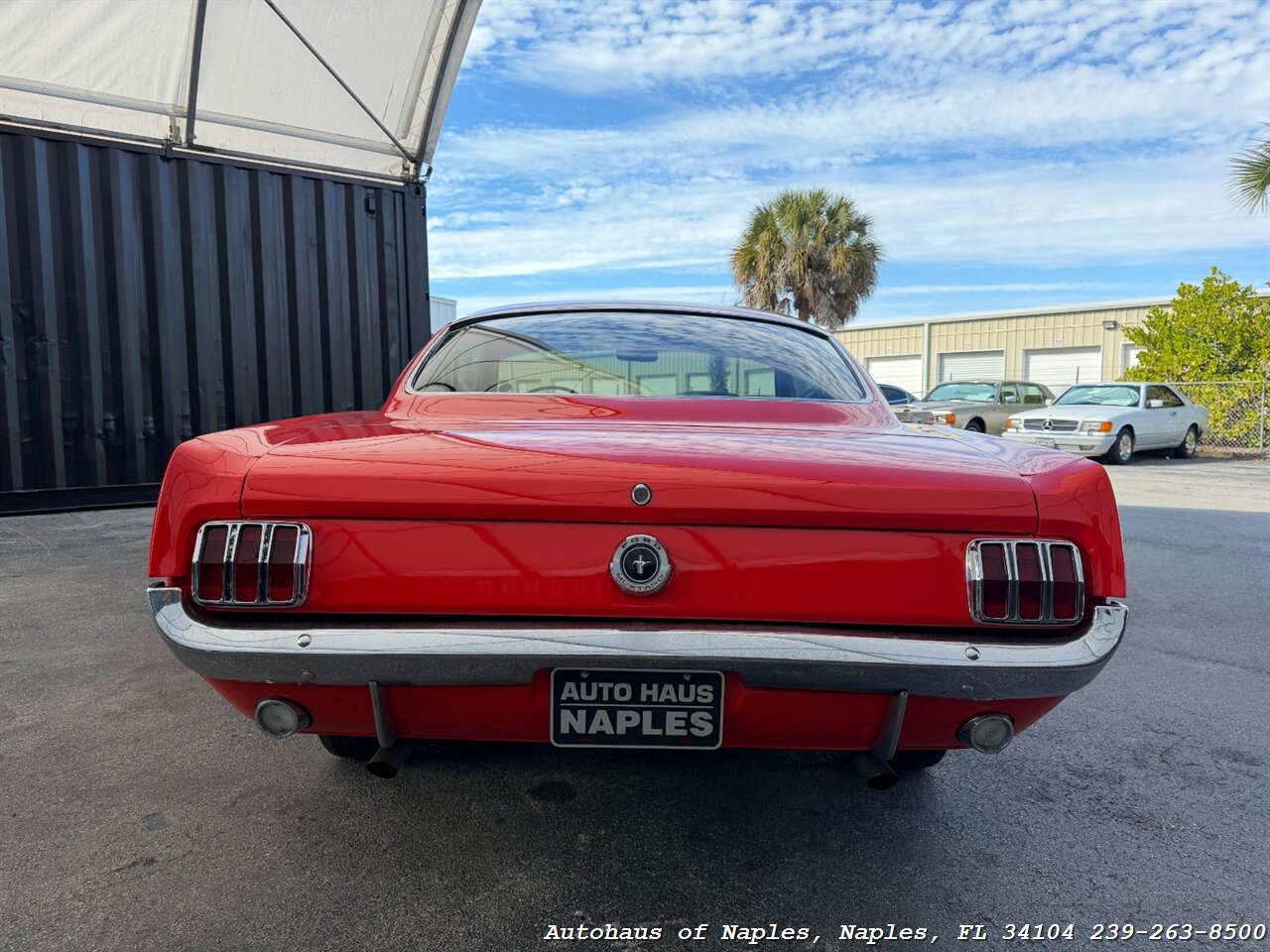 1965 Ford Mustang 2+2 Fastback 289   - Photo 13 - Naples, FL 34104