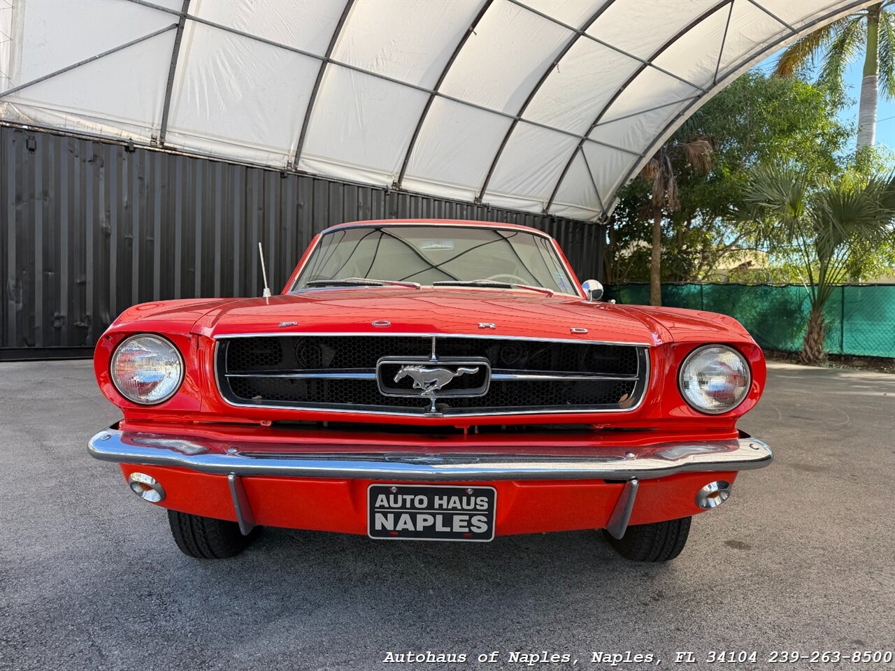 1965 Ford Mustang 2+2 Fastback 289   - Photo 5 - Naples, FL 34104