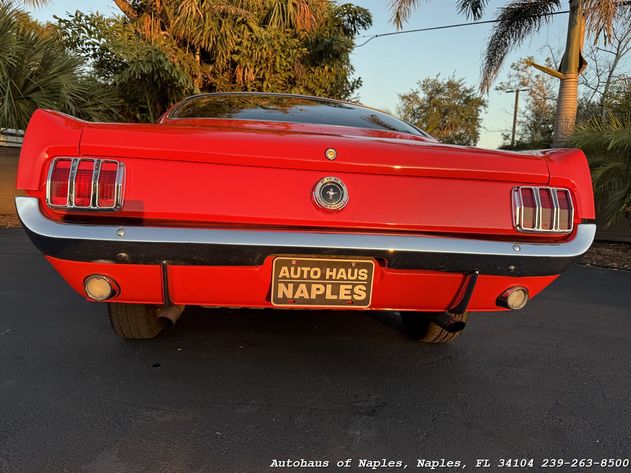 1965 Ford Mustang 2+2 Fastback 289 - Photo 19 - Naples, FL 34104