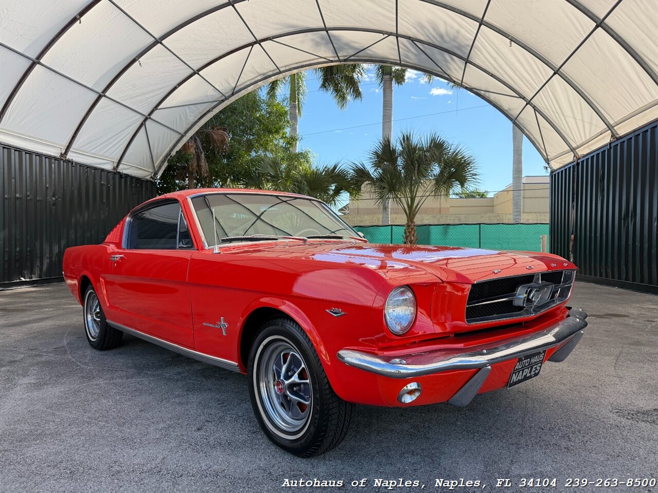 1965 Ford Mustang 2+2 Fastback 289   - Photo 3 - Naples, FL 34104