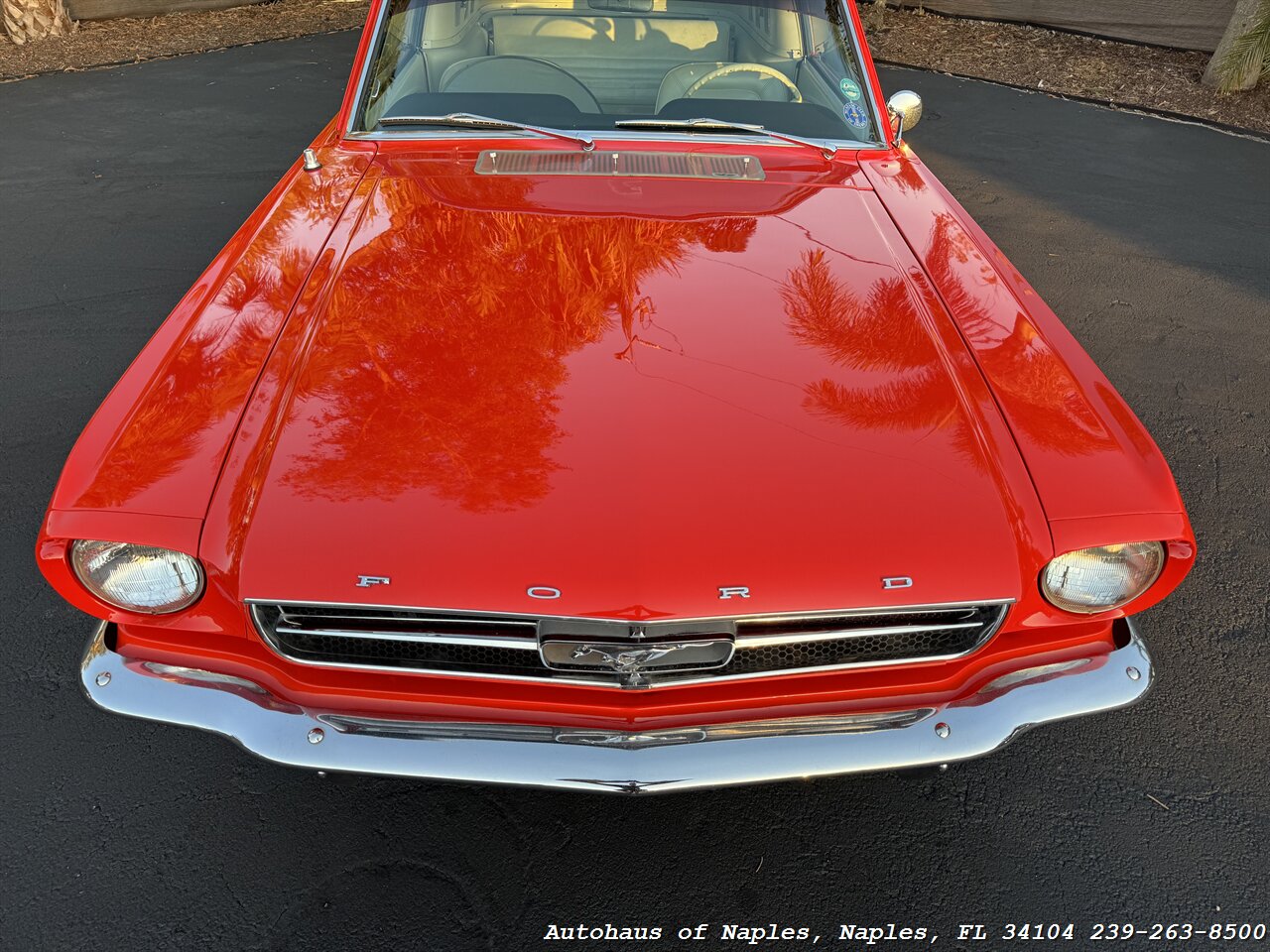 1965 Ford Mustang 2+2 Fastback 289 - Photo 27 - Naples, FL 34104
