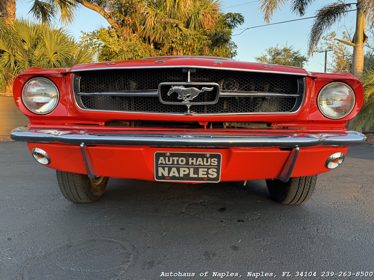 1965 Ford Mustang 2+2 Fastback 289 - Photo 28 - Naples, FL 34104