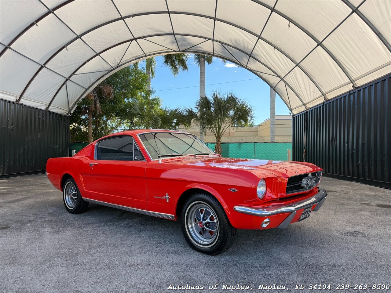 1965 Ford Mustang 2+2 Fastback 289   - Photo 1 - Naples, FL 34104