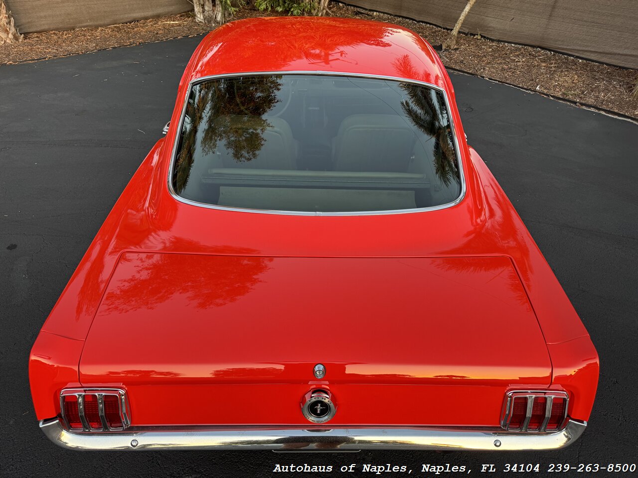 1965 Ford Mustang 2+2 Fastback 289 - Photo 24 - Naples, FL 34104