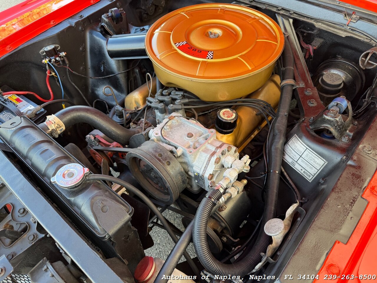 1965 Ford Mustang 2+2 Fastback 289   - Photo 24 - Naples, FL 34104