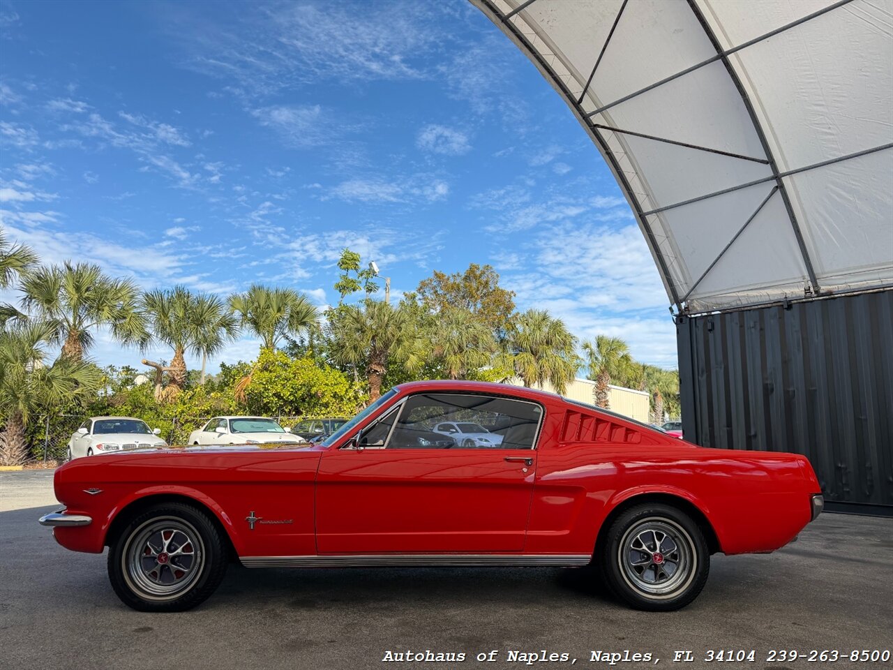 1965 Ford Mustang 2+2 Fastback 289   - Photo 9 - Naples, FL 34104