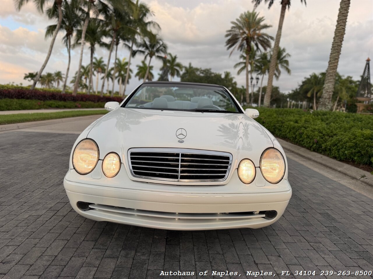 2001 Mercedes-Benz CLK CLK 430 - Photo 52 - Naples, FL 34104