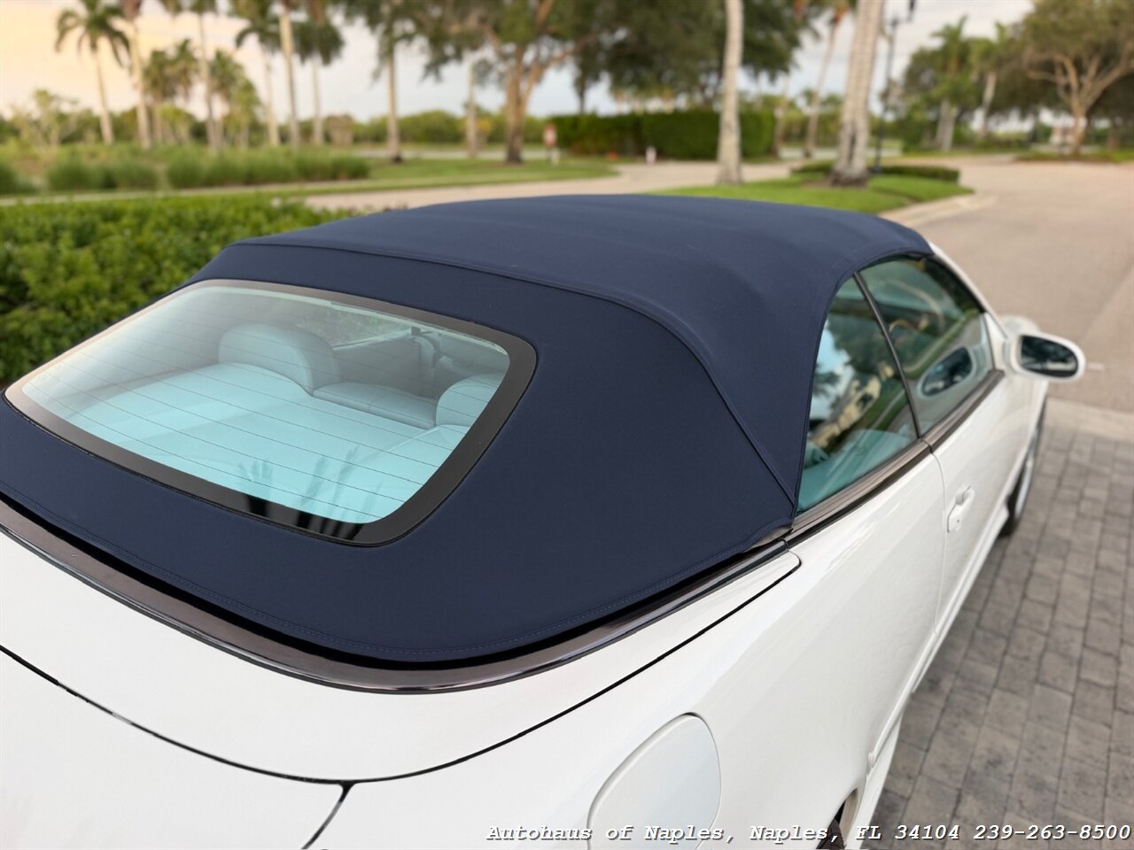 2001 Mercedes-Benz CLK CLK 430 - Photo 22 - Naples, FL 34104