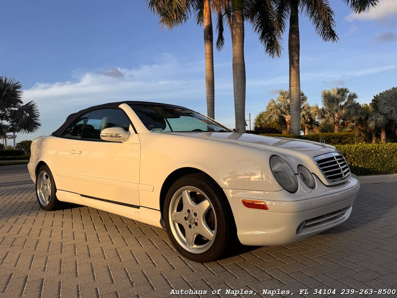 2001 Mercedes-Benz CLK CLK 430 - Photo 12 - Naples, FL 34104