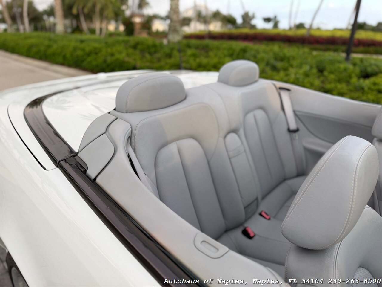 2001 Mercedes-Benz CLK CLK 430 - Photo 56 - Naples, FL 34104