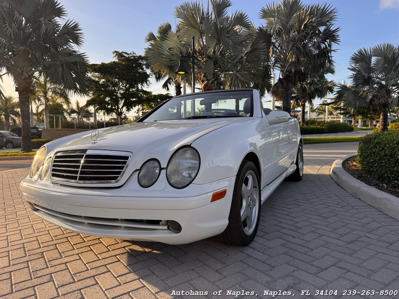 2001 Mercedes-Benz CLK CLK 430 - Photo 6 - Naples, FL 34104