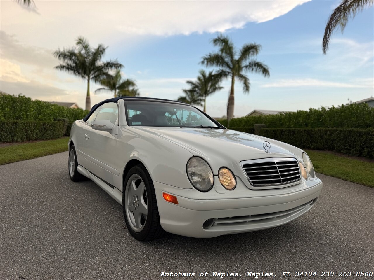2001 Mercedes-Benz CLK CLK 430 - Photo 3 - Naples, FL 34104