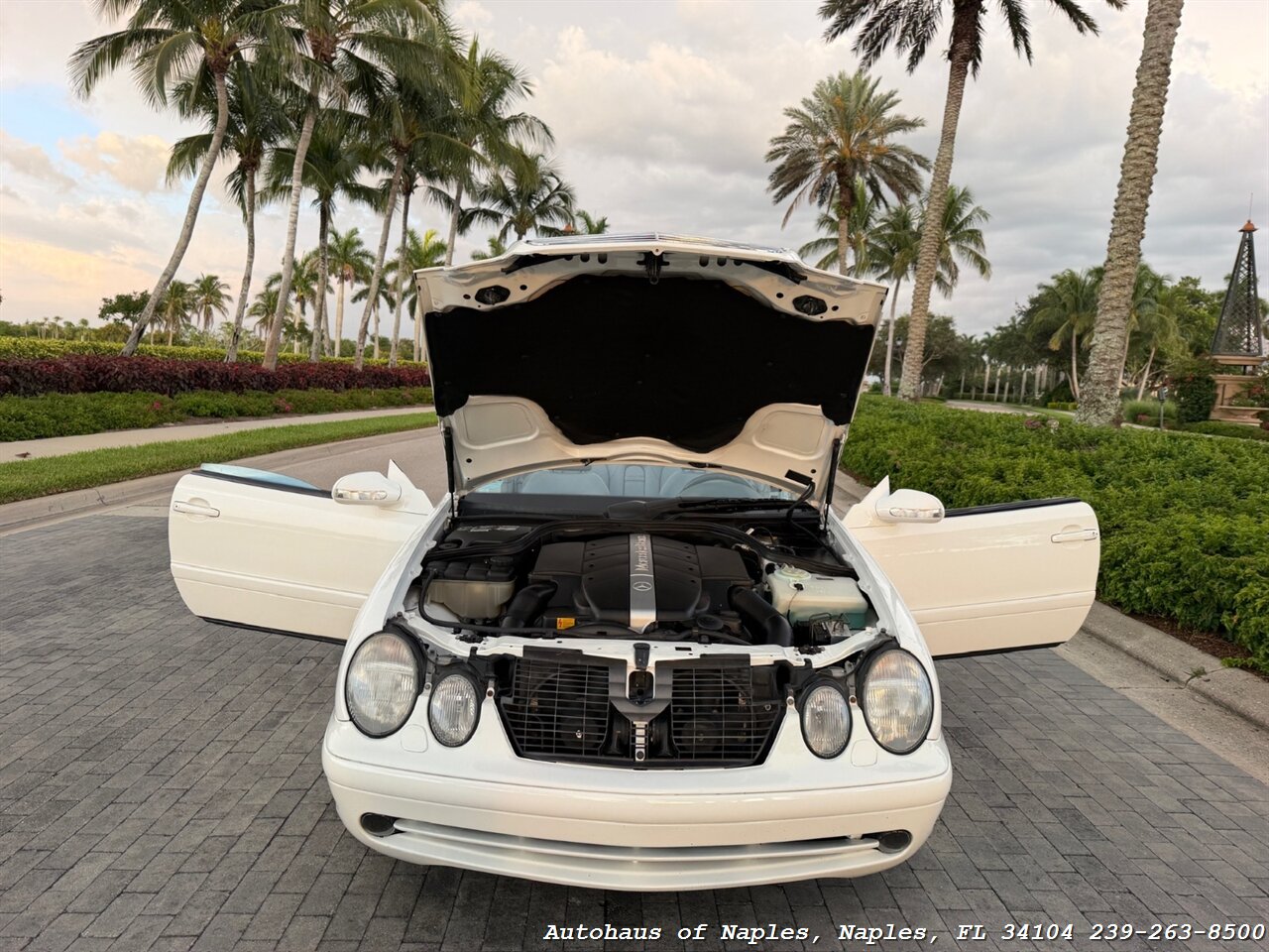2001 Mercedes-Benz CLK CLK 430 - Photo 82 - Naples, FL 34104