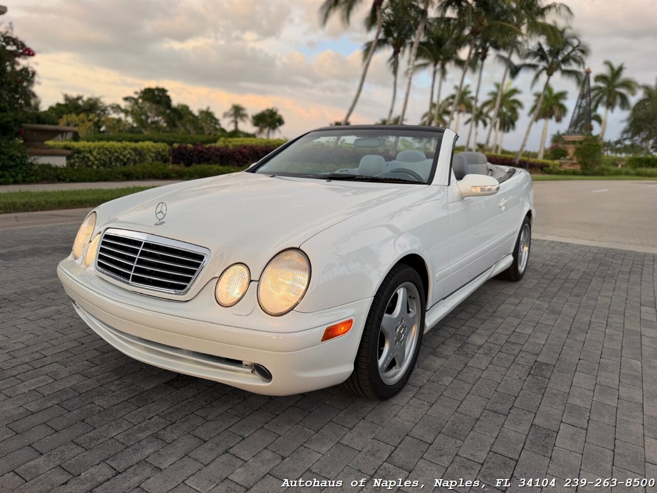 2001 Mercedes-Benz CLK CLK 430 - Photo 53 - Naples, FL 34104