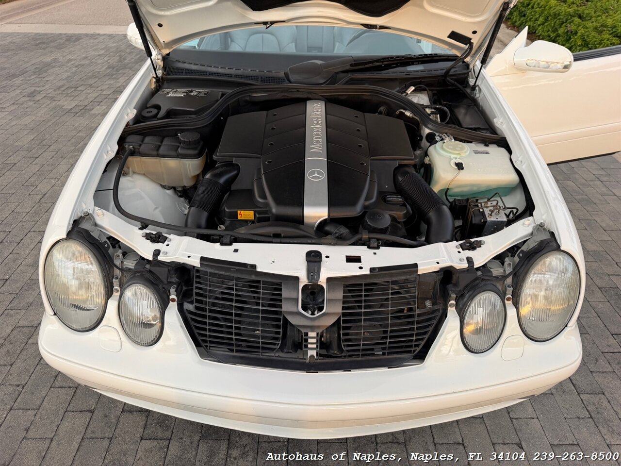 2001 Mercedes-Benz CLK CLK 430 - Photo 89 - Naples, FL 34104