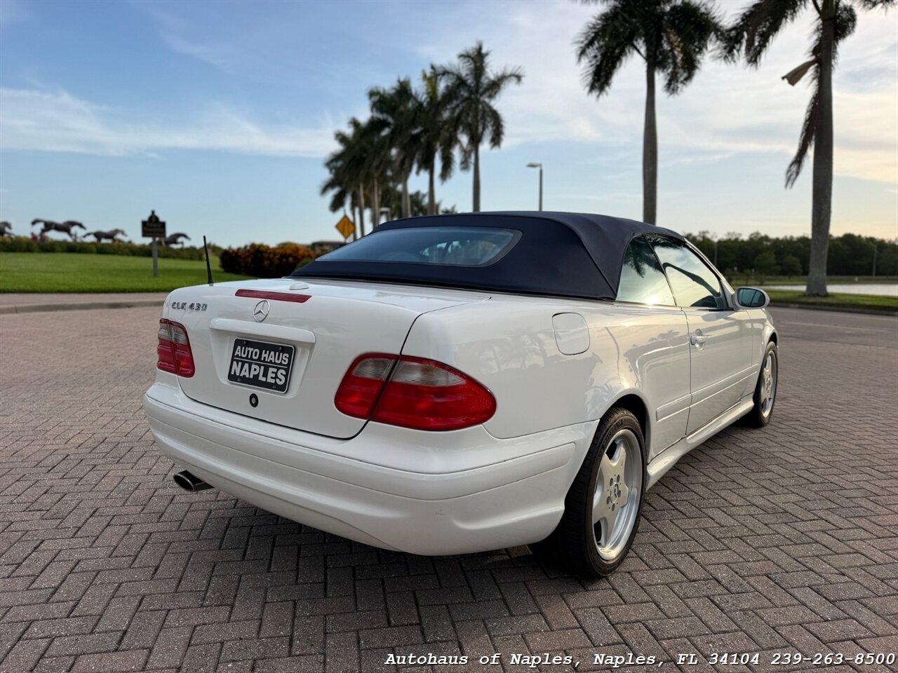 2001 Mercedes-Benz CLK CLK 430 - Photo 7 - Naples, FL 34104