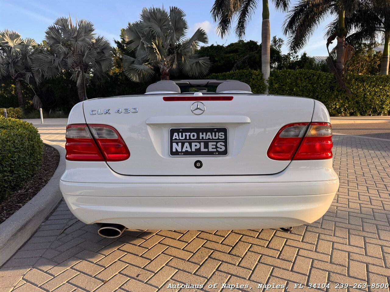 2001 Mercedes-Benz CLK CLK 430 - Photo 5 - Naples, FL 34104