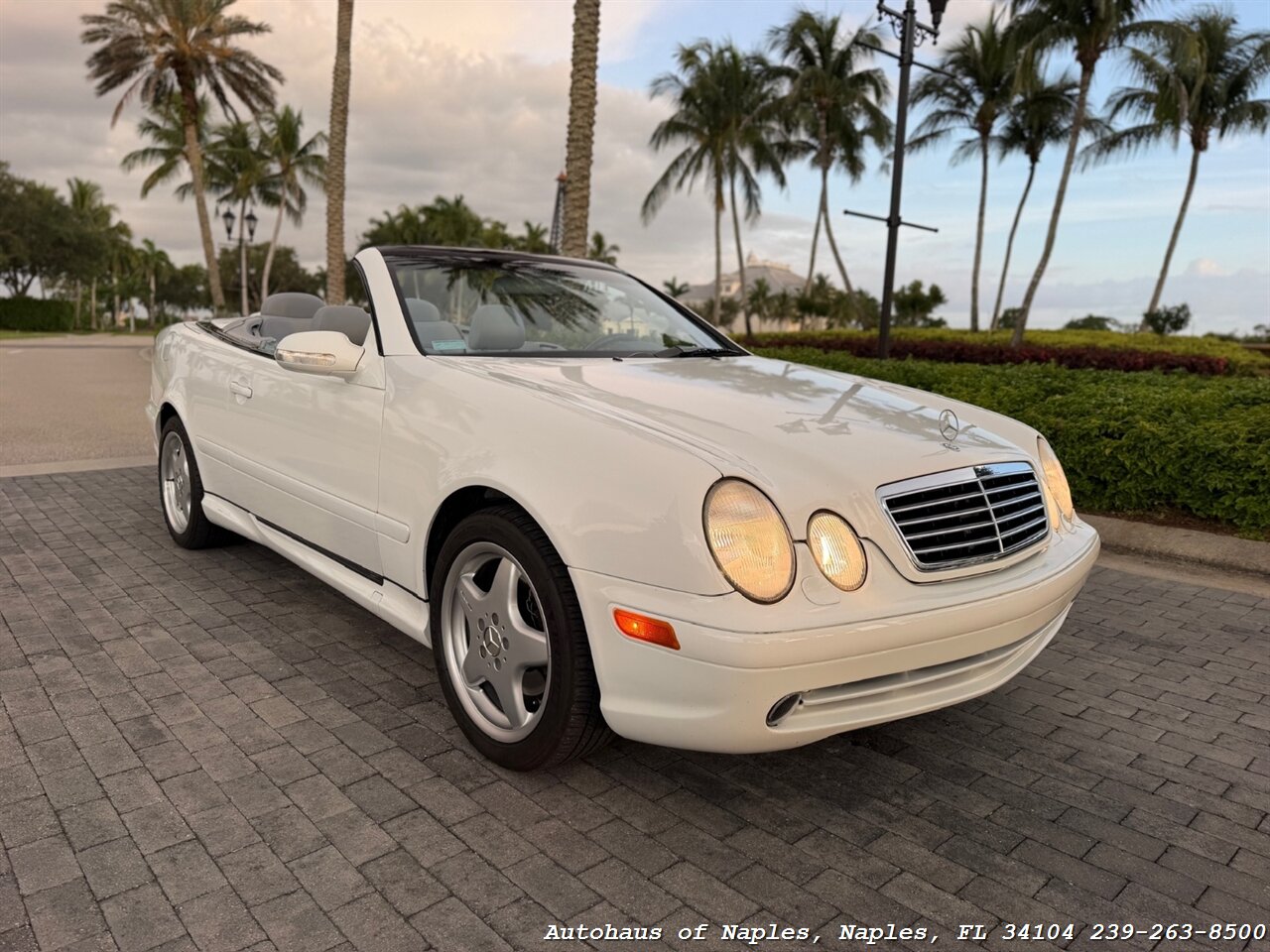 2001 Mercedes-Benz CLK CLK 430 - Photo 51 - Naples, FL 34104