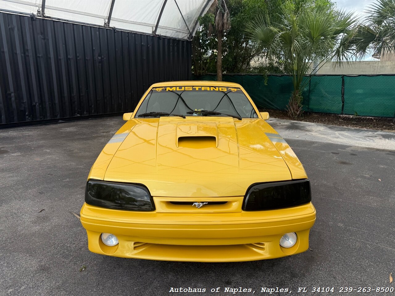 1993 Ford Mustang GT   - Photo 3 - Naples, FL 34104