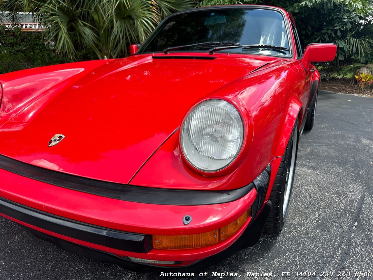 1981 Porsche 911 Carrera Coupe   - Photo 6 - Naples, FL 34104