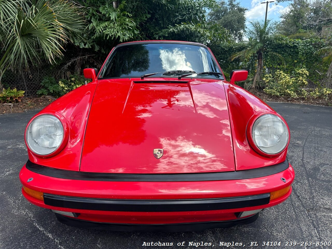 1981 Porsche 911 Carrera Coupe   - Photo 3 - Naples, FL 34104