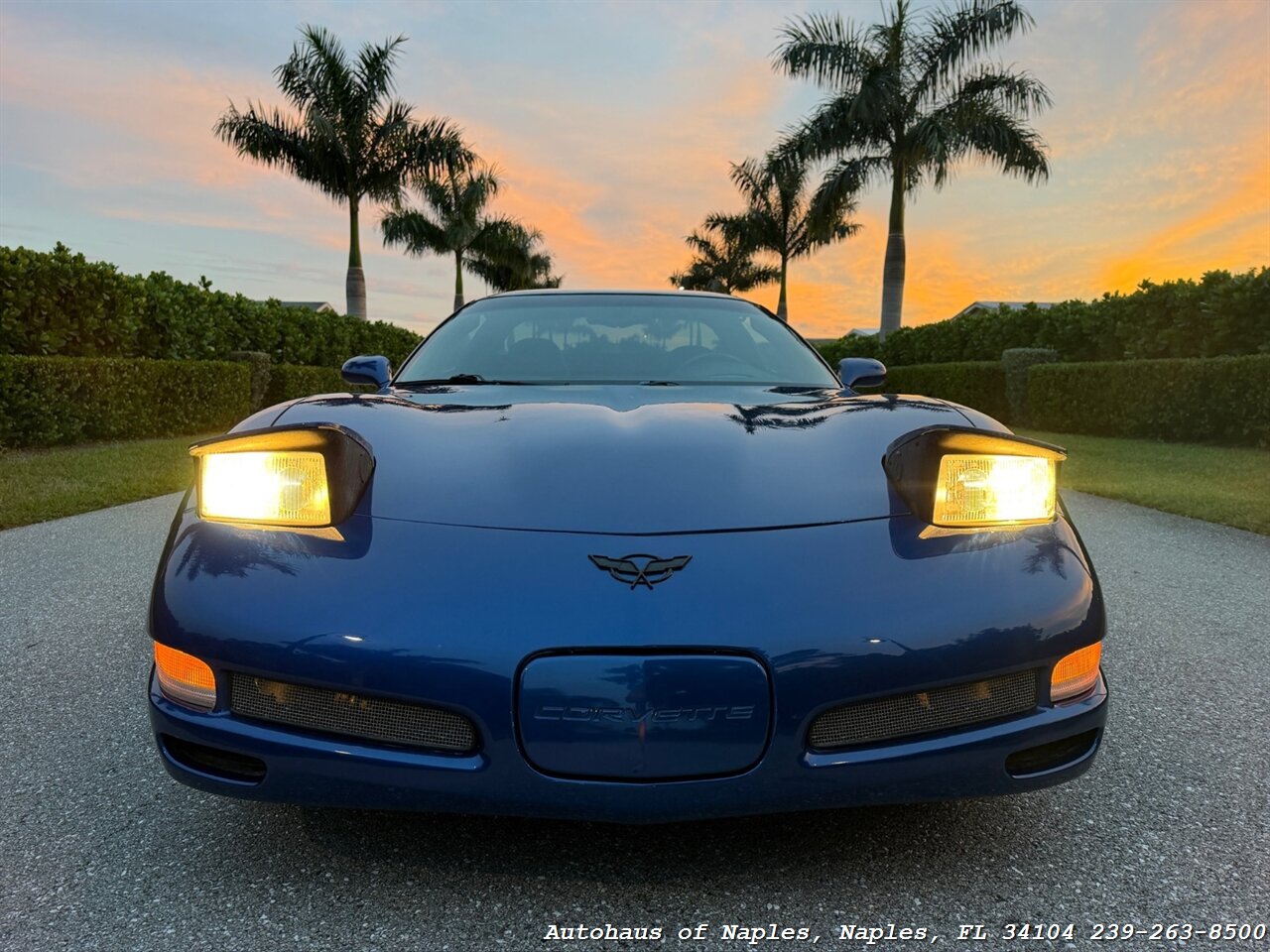 2002 Chevrolet Corvette Z06 - Photo 16 - Naples, FL 34104